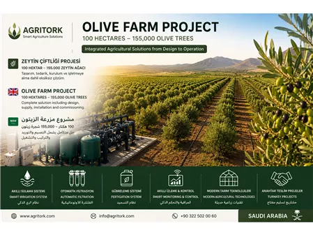 100 Hectare Olive Farm Automation Project
