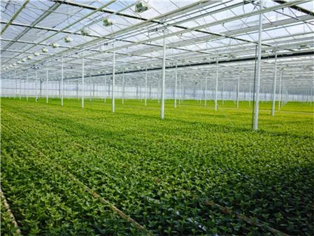 Greenhouse Systems