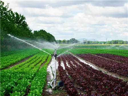 Pivot Irrigation Systems